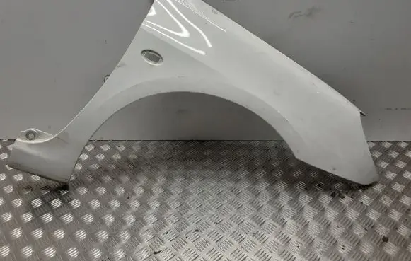 Peugeot 307 Fender
