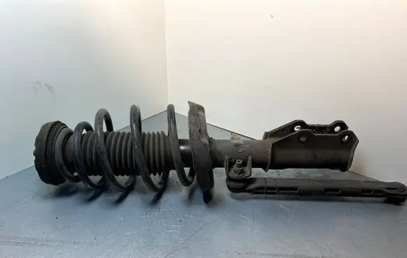 Opel Insignia A Front shock absorber/damper 13245967