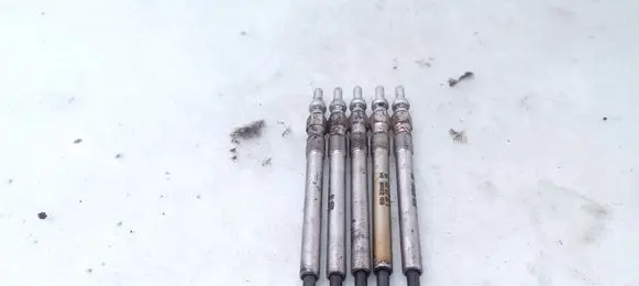 Jaguar XF X250 Glow plug 0100276006