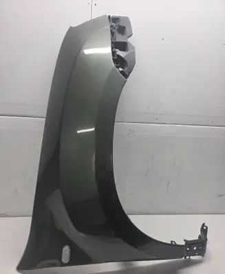 Dacia Duster Fender 