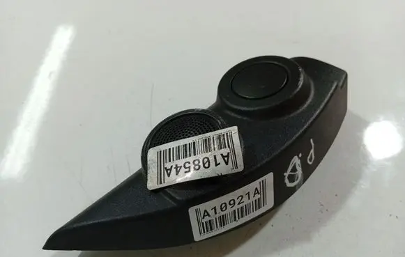 Fiat Doblo Front door speaker 07354986290E