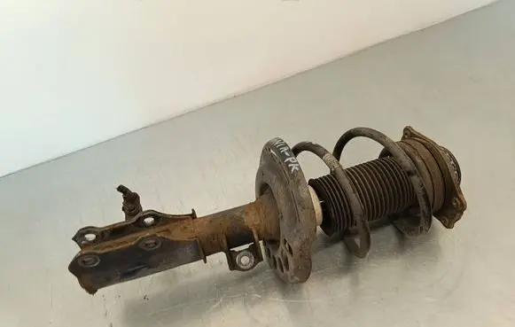 Opel Insignia B Front shock absorber with coil spring 