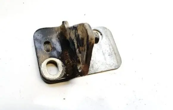 Rear door lower hinge