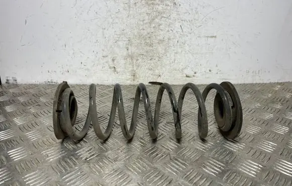 Hyundai Kona I Rear coil spring