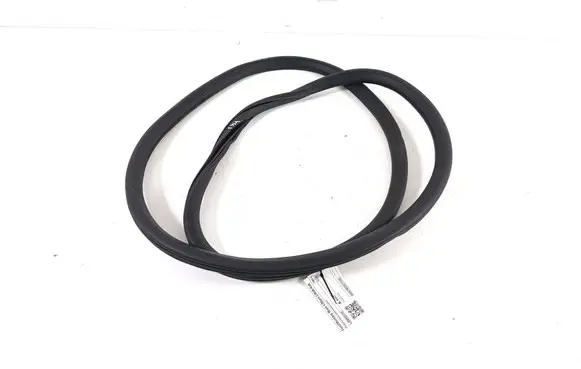 Ford Mach-E I Front door rubber seal LJ8BR20709