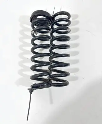 Rear coil spring