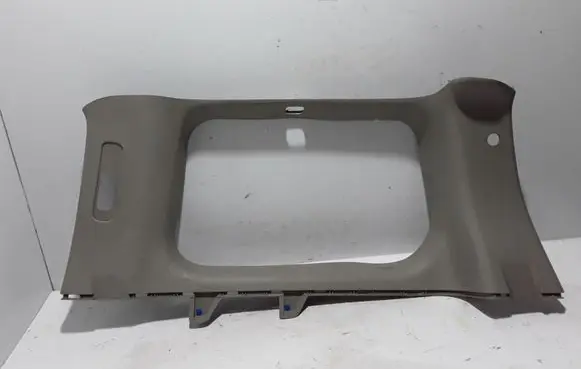 Nissan Pathfinder R51 Tailgate/trunk side cover trim 849405X01A