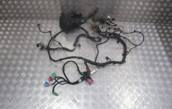 Mercedes-Benz G W463 2nd Gen Positive wiring loom 