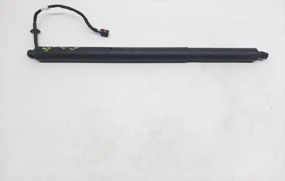Tailgate strut