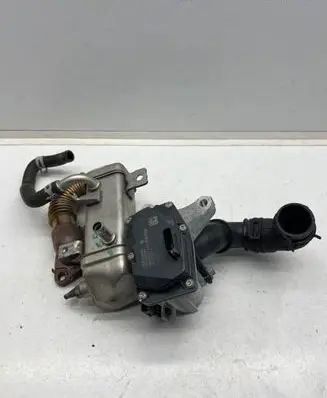 Nissan X-Trail T32 EGR valve H8201068965 147102408R VN1501000481