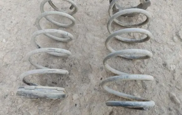 Hyundai i20 (PB PBT) Rear coil spring