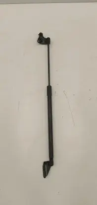 Tailgate strut