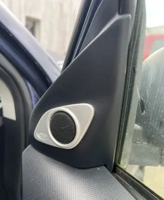 Peugeot 4007 Front door high frequency speaker