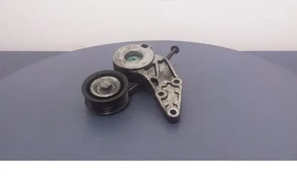 Volkswagen Phaeton Timing belt/chain tensioner E6903A110410