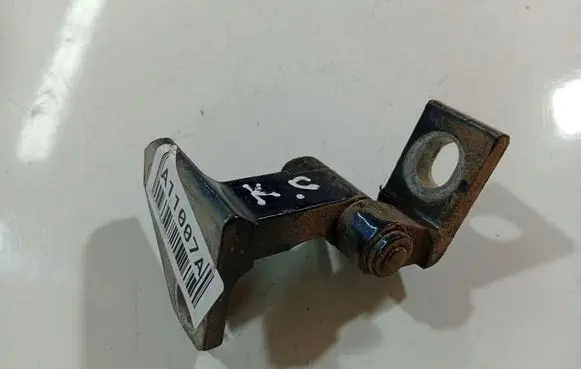 Volkswagen PASSAT B6 Rear door lower hinge
