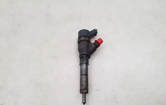 Peugeot 206 Fuel injector 9653594280