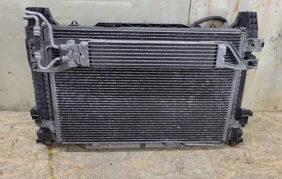 Mercedes-Benz B W245 Radiator set A1695000354