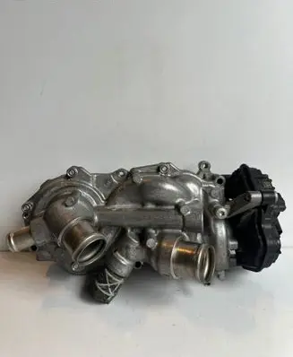 Volkswagen T-Roc Water pump 05E121042F 05E907593