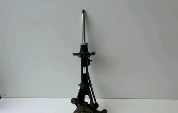 Volkswagen Golf VIII Front shock absorber with coil spring 5WA413023
