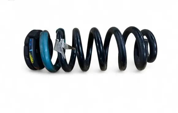 Rear coil spring