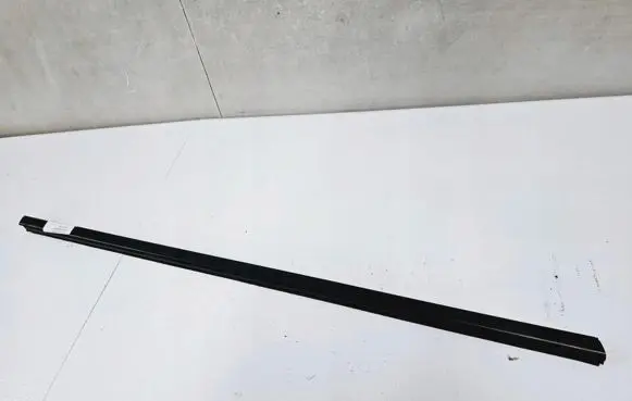 Honda Insight Front door trim (molding)