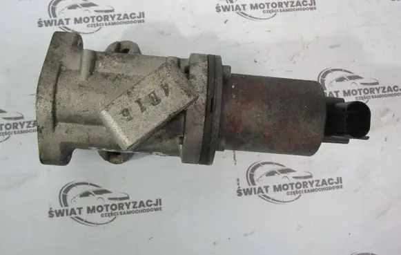 Hyundai Santa Fe EGR valve 