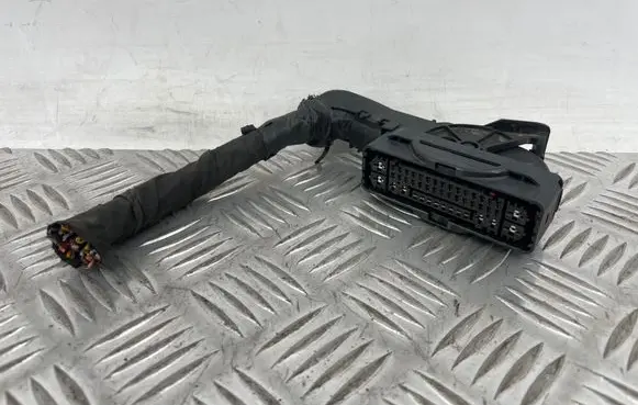Hyundai Ioniq 5 Other wiring loom PBTGF20