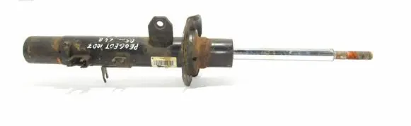 Peugeot 1007 Front shock absorber/damper