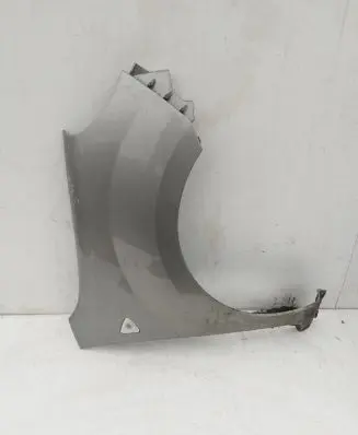 Renault Kangoo II Fender