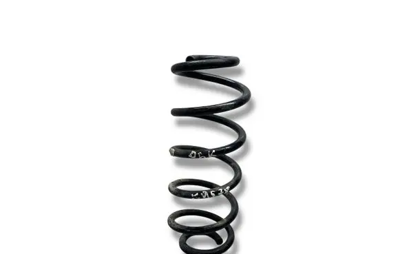 Rear coil spring