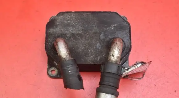 Ford Focus C-MAX Engine oil radiator 