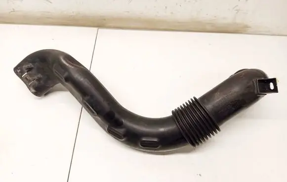Dacia Sandero Air intake hose/pipe 165556691R