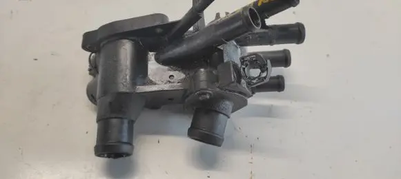 Thermostat/thermostat housing