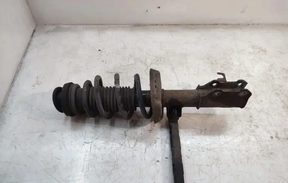 Opel Zafira C Front shock absorber with coil spring
