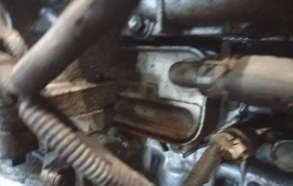 Toyota Auris 150 Engine oil radiator
