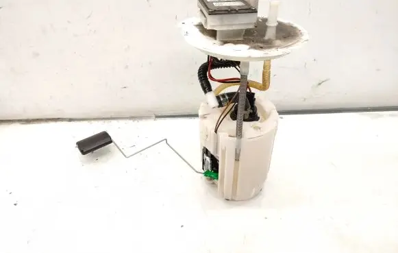 Hyundai Santa Fe In-tank fuel pump 31110S1900