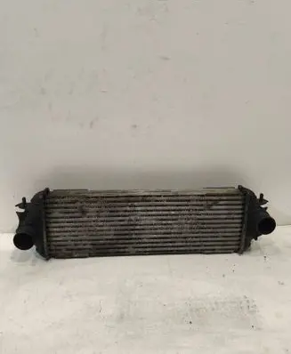 Renault Trafic II (X83) Intercooler radiator 7700312903 868926Q 91166035