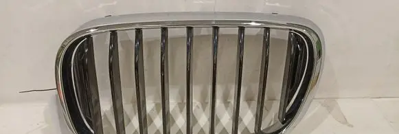 BMW 7 G11 G12 Front bumper upper radiator grill 51137357011