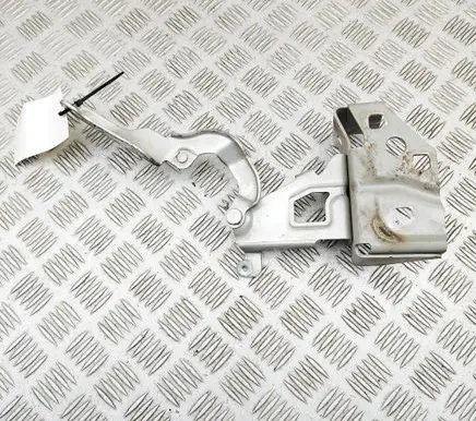 Opel Vivaro Engine bonnet/hood hinges 93455830