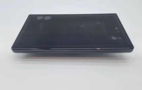 Ford Mustang VII Screen/display/small screen PR3T18B955L PR3T18B955LC 24080000131