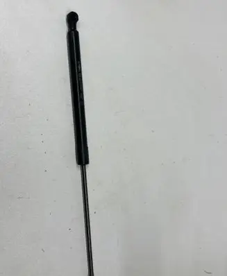Tailgate/trunk strut/damper