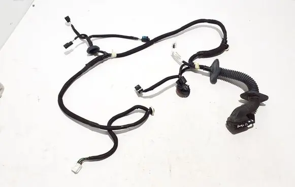 Renault Kangoo III Other wiring loom 242104257R