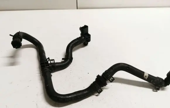 Buick Encore I Valve vacuum 20876799 0265005321