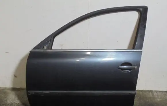 Volkswagen PASSAT B5.5 Front door 