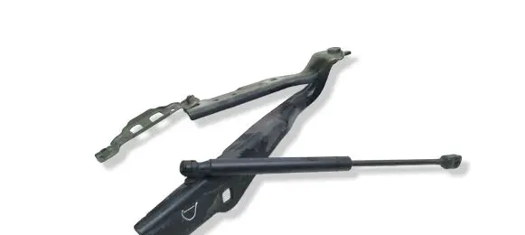 Dodge Charger Engine bonnet/hood hinges 55113550AF