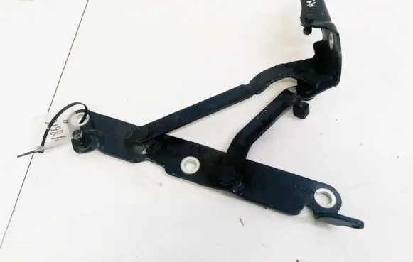 Tailgate/trunk/boot hinge