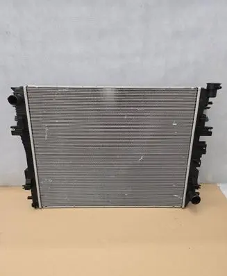 Dodge RAM 1500 DR Coolant radiator 8976989799