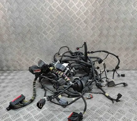 Ford Puma Engine installation wiring loom M1TT2B512CBB N1TT14290PPE