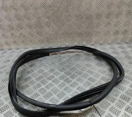 BMW 3 F30 F35 F31 Rubber seal rear door 831202T000