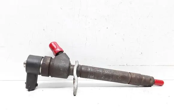 Volvo V70 Fuel injector 0445110298 30777526